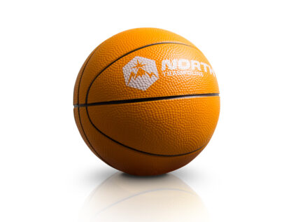 NORTH BASKETBALL HOOP UNIVERSAL